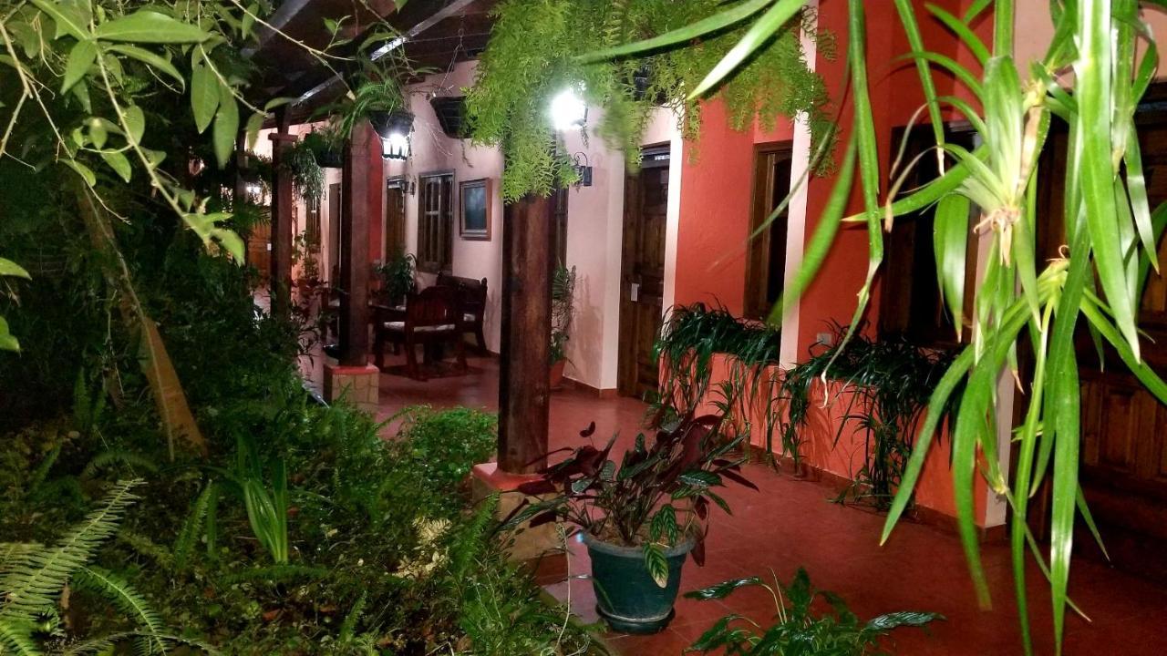 Posada Papa Chepe La Esperanza المظهر الخارجي الصورة