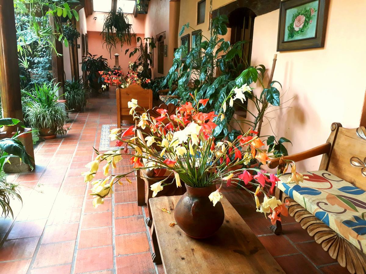 Posada Papa Chepe La Esperanza المظهر الخارجي الصورة