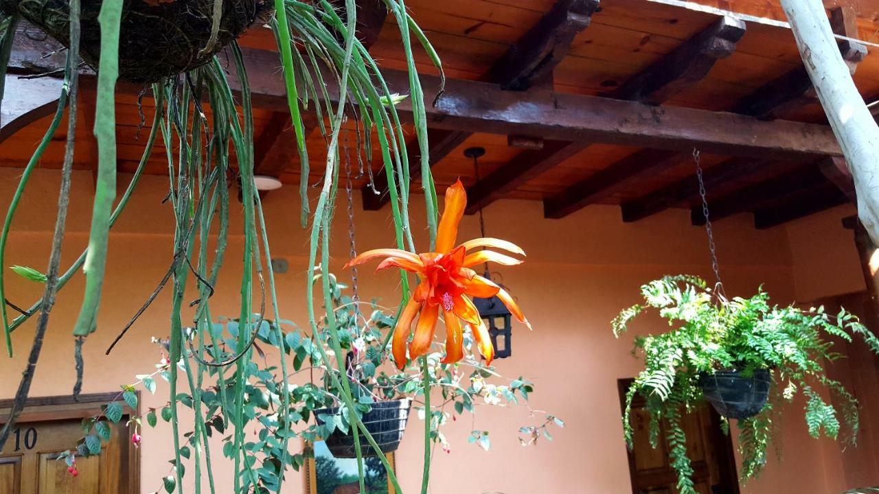 Posada Papa Chepe La Esperanza المظهر الخارجي الصورة